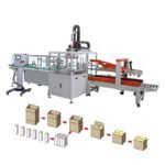 Grab type case packer
