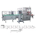 Side push type case packer